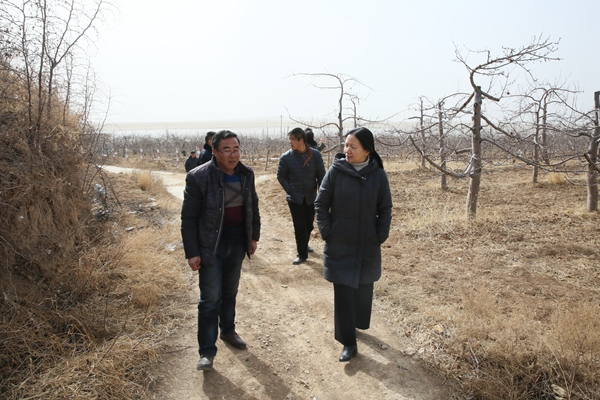 微信图片_20180213150308_幼.jpg 微信图片_20180213150308_幼.jpg